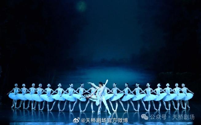 天鹅影视免费追剧app图标