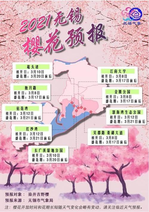 樱花开放时间