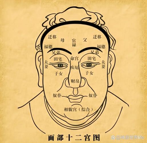 男人富贵命的体型