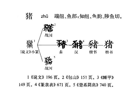 罗志祥小猪的由来