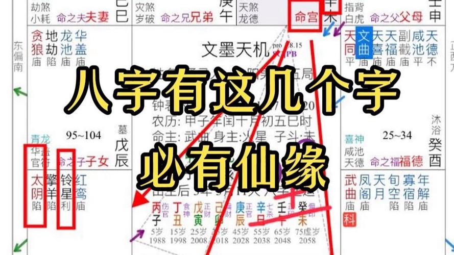 被仙家选中是福还是祸
