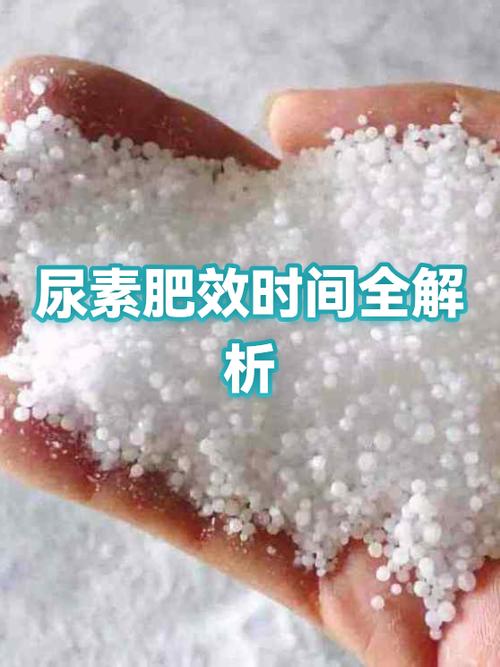 尿素肥效期多少天