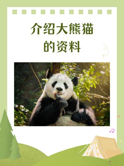 大熊猫的资料介绍三年级可打印缩略图