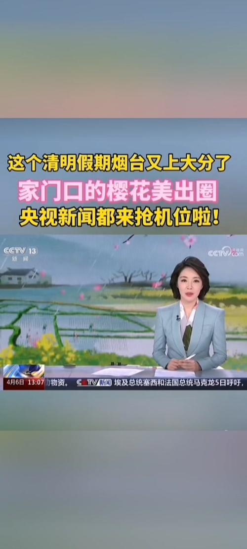 樱花cctv直播游戏截图
