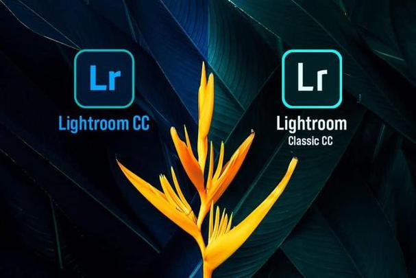 lightroom官方正版安装图标