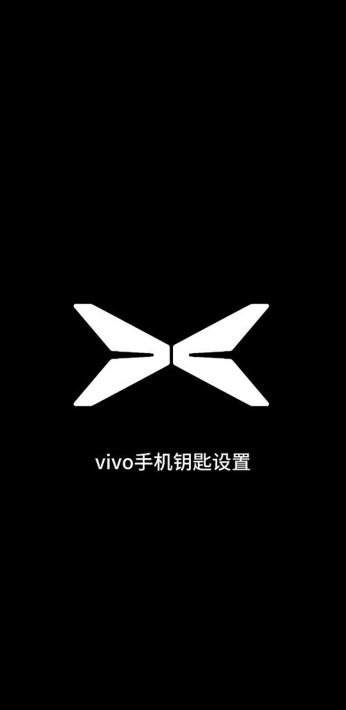 华为手机上面一个钥匙是什么意思缩略图