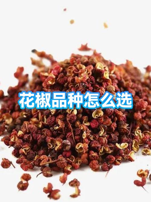 花椒排名前十品种缩略图