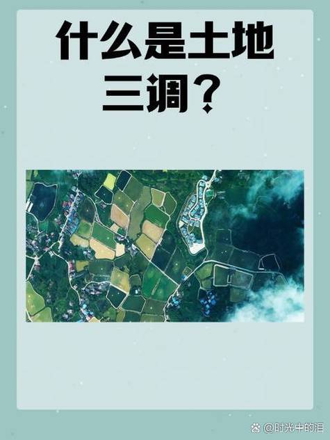 土地三调什么时候开始