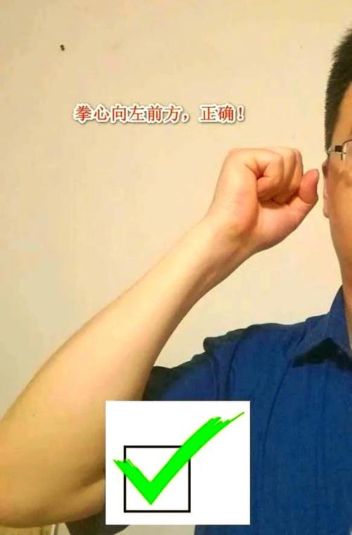 宣誓手势视频