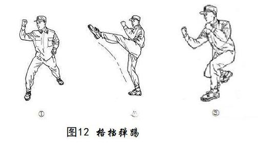 第一套擒敌拳20动教学视频图标