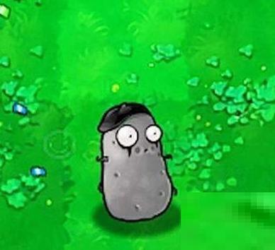 随机模仿者版pvz手机版图标