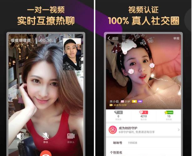 v聊app官网图标