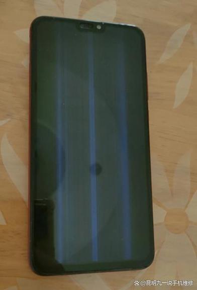 oppo手机进水屏幕黑屏有声音