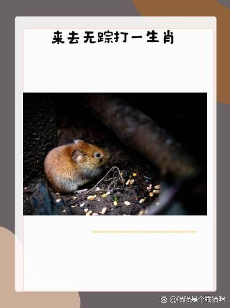 联系不上对方怎么办