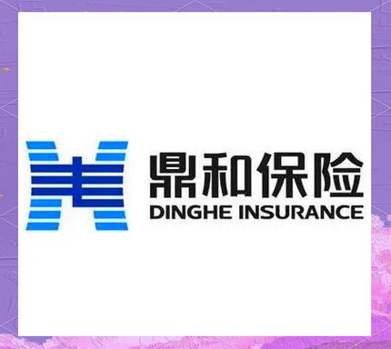 鼎和保险是正规公司吗图标