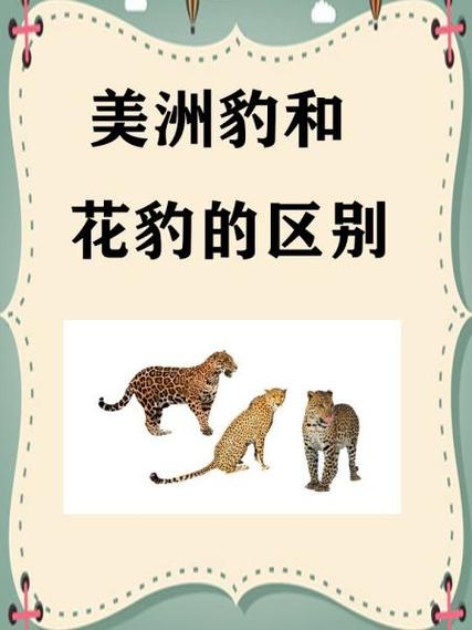 美洲豹与花豹缩略图