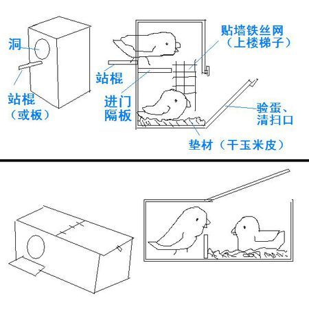 鹦鹉是用什么材料做窝