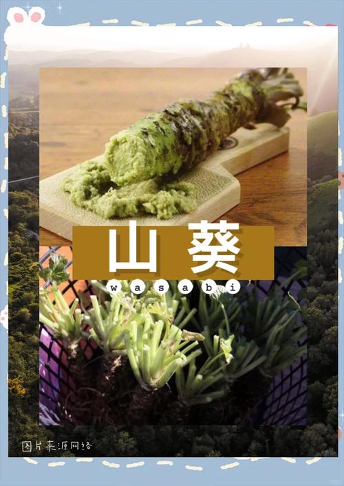 wasabi无限芥末币缩略图