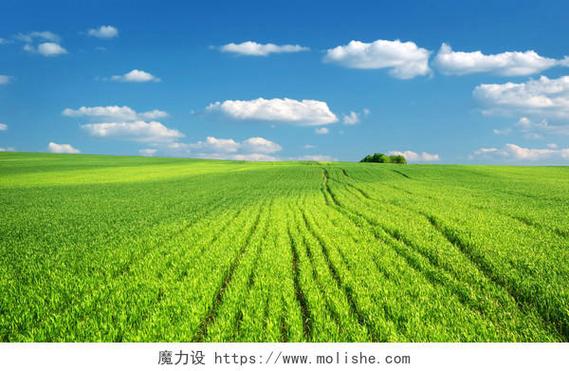 希望的田野扇子舞背景故事和背景音图标