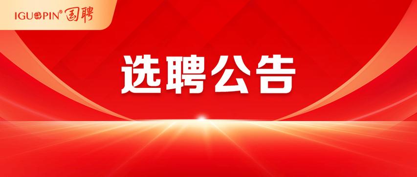河北招聘网最新招聘信息游戏截图