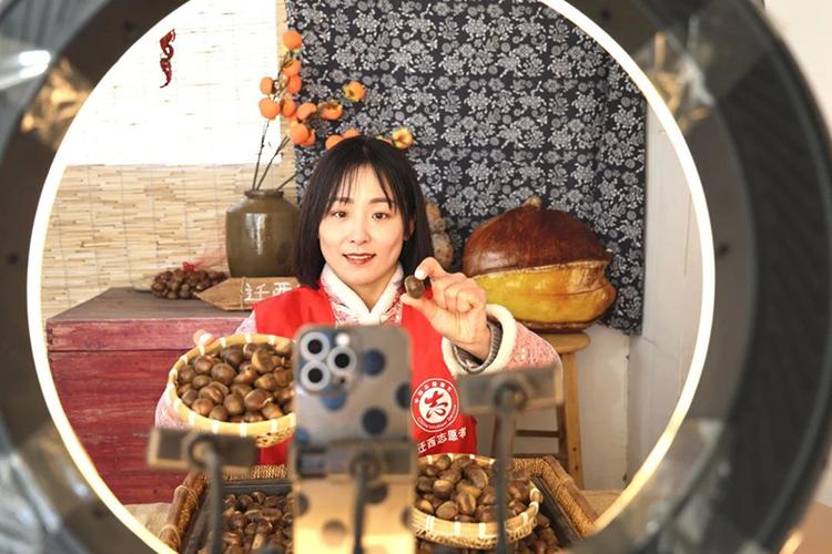 板栗直播现在叫什么