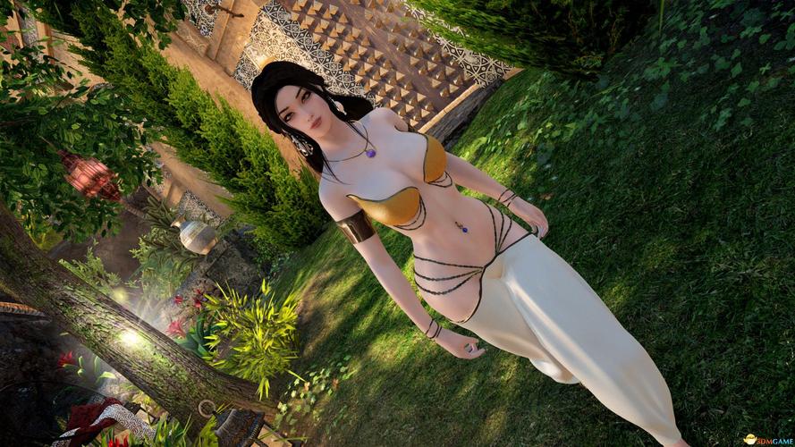 上古卷轴5舞蹈mod整合缩略图