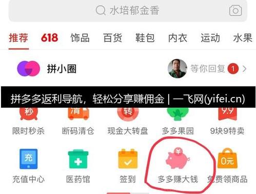 拼多多官方返利平台图标