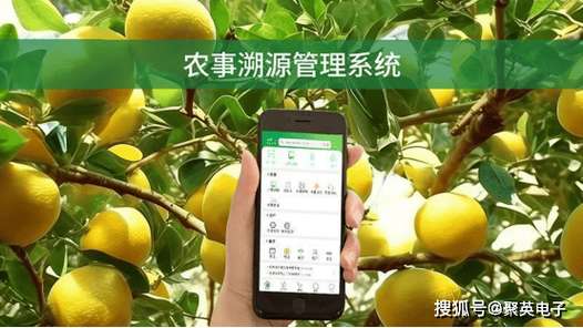廉江微信群