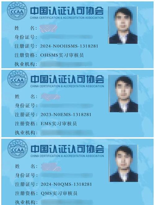 审核员证书怎么考报考条件图标