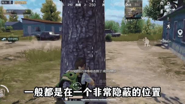 和平精英隐藏的秘密图标