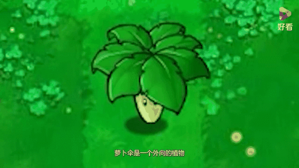 石英钟植物大战僵尸