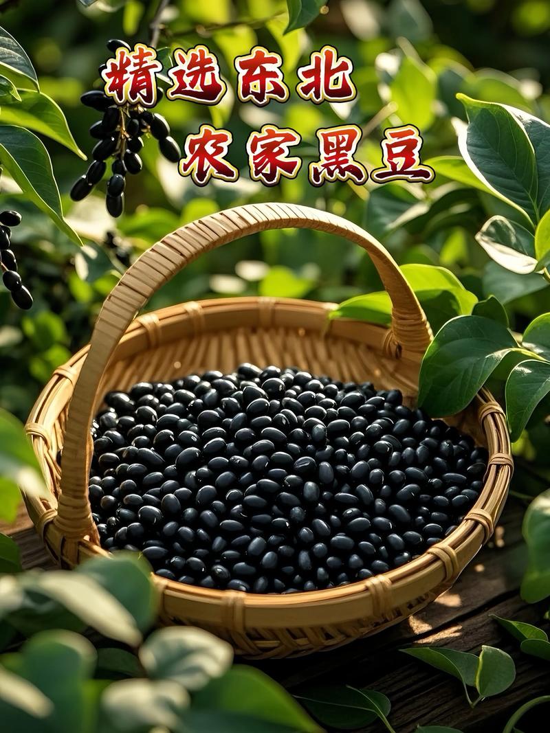 黑豆批发生产厂家
