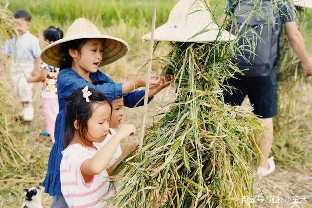乡村小农民缩略图