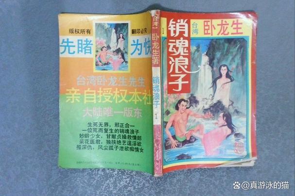 香港正版免费资料大全小说游戏截图