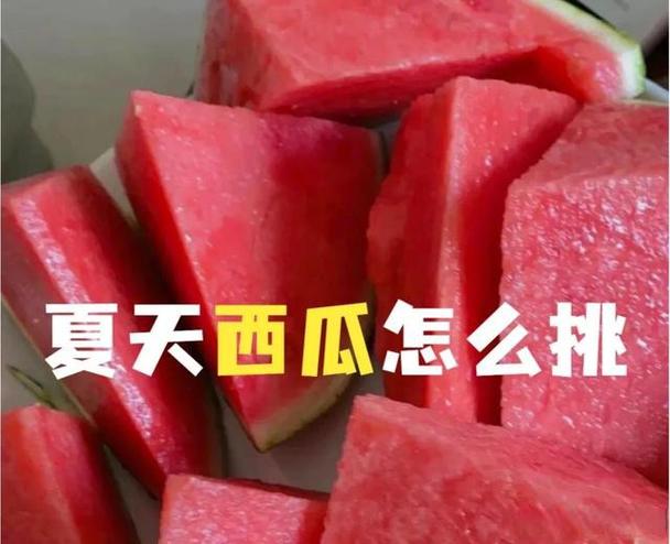 西瓜赚钱软件缩略图