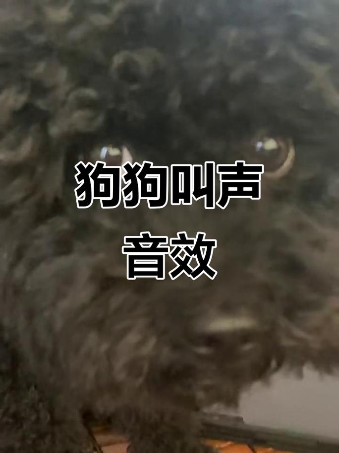 手机铃声狗叫铃声30秒图标