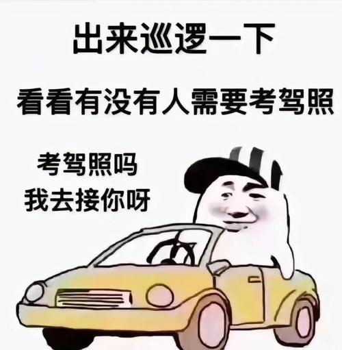 学车教练总想白睡