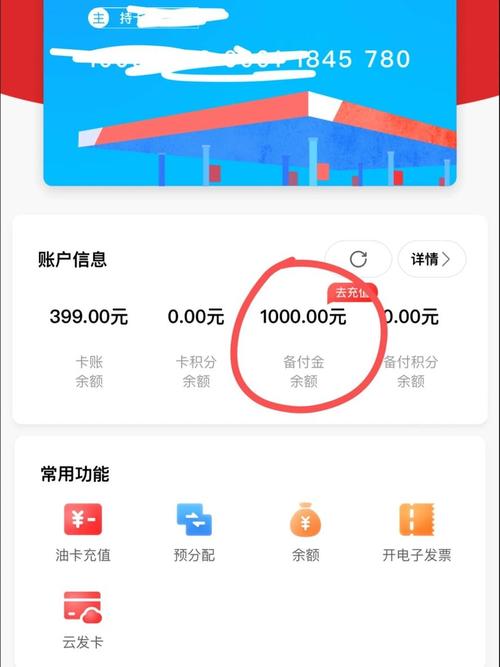 中石化加油卡备付金怎么用游戏截图