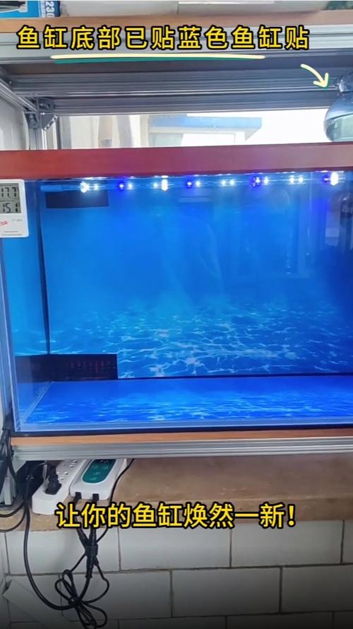 鱼缸贴背景好吗缩略图