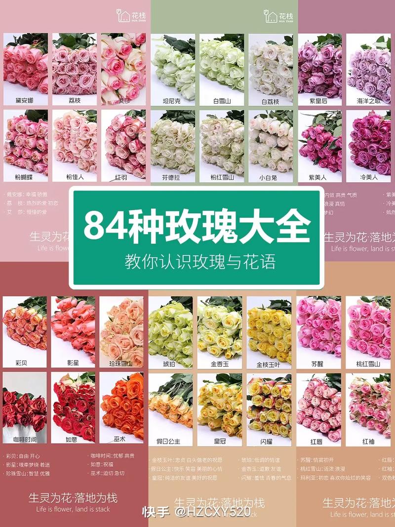 玫瑰的花语是什么游戏截图