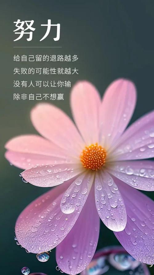 激励的句子经典简短缩略图