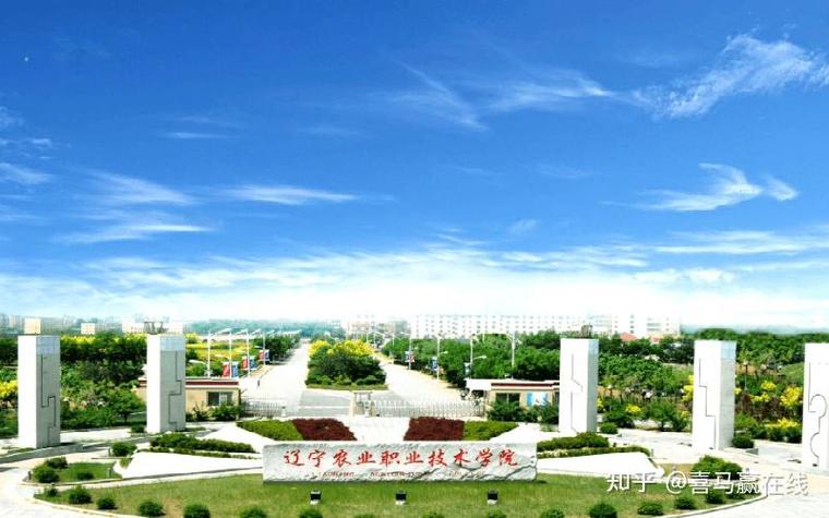 2026年辽宁省单招学校有哪些游戏截图