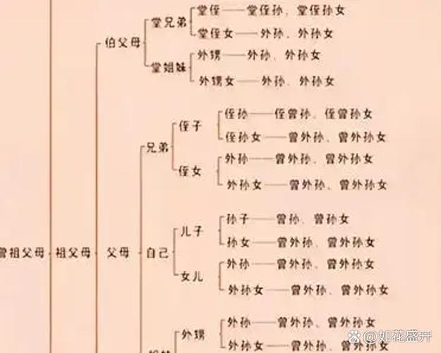 亲戚三代怎么算