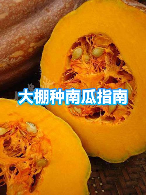 泰拉瑞亚南瓜种在哪里图标