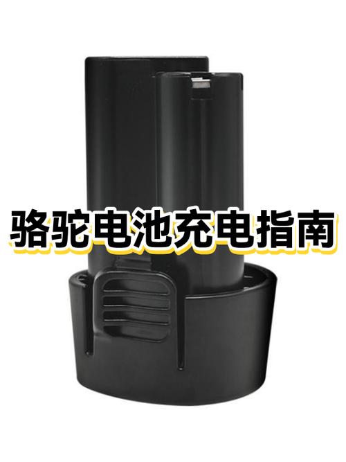 骆驼电瓶充电视频教程图标