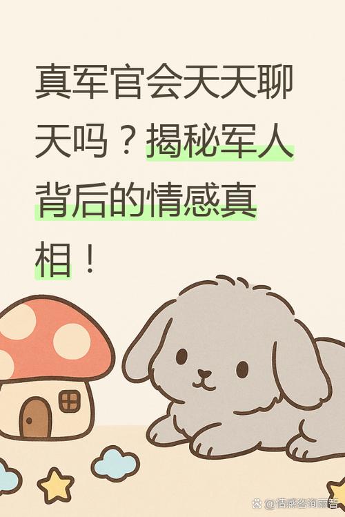 军人一般用什么聊天软件缩略图