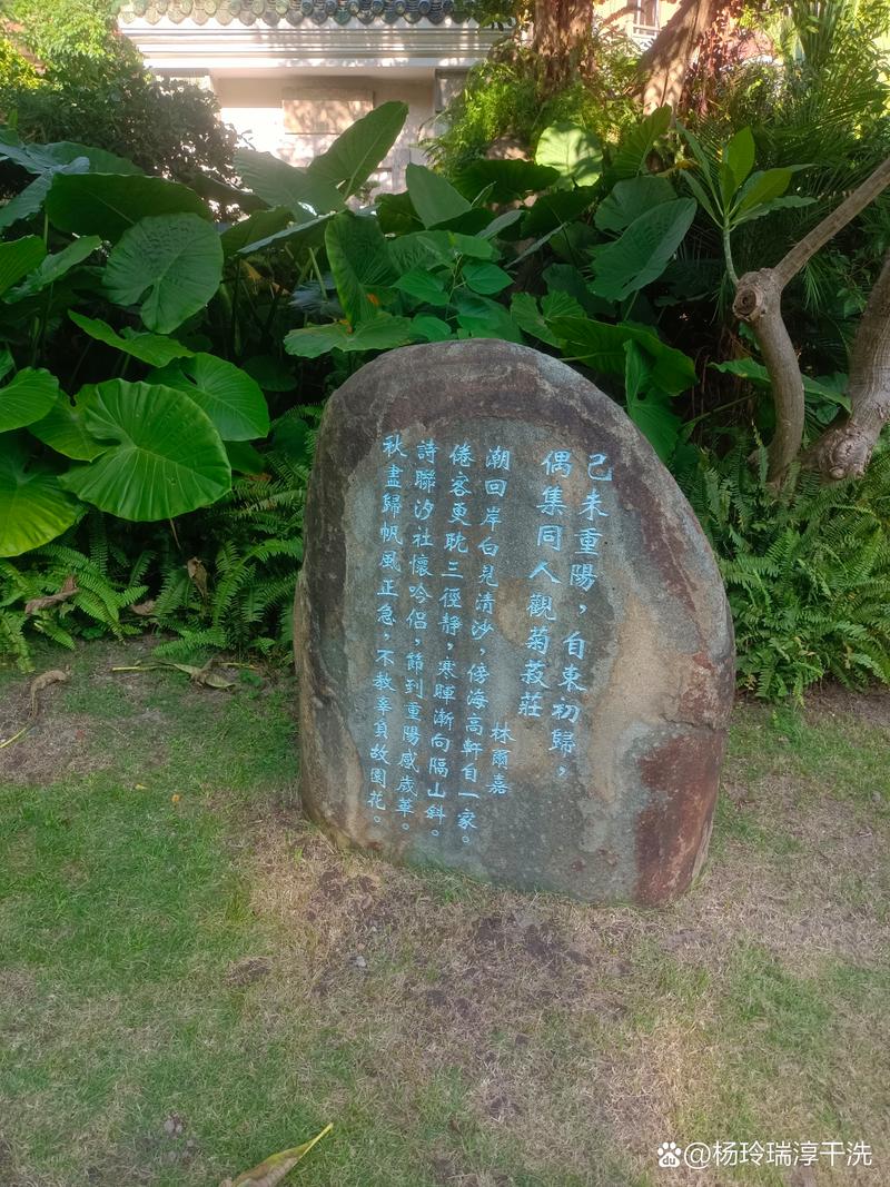 黑暗之源妈妈什么时候去公园