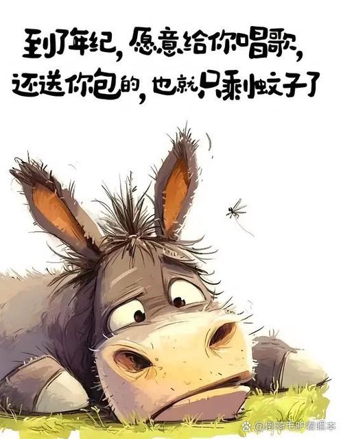 驴软件图标