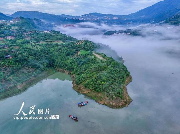 巫山县信息公开网缩略图