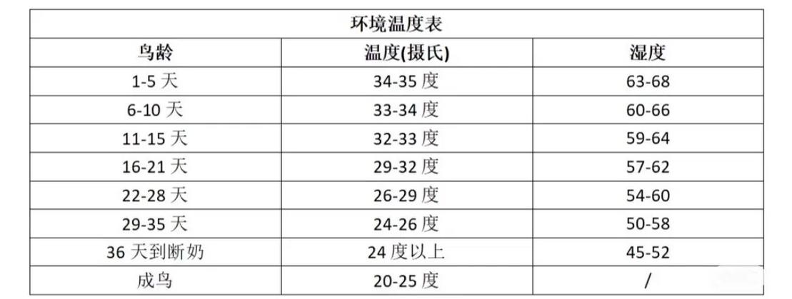 玄凤幼鸟保温多少°C手机在线观看游戏截图